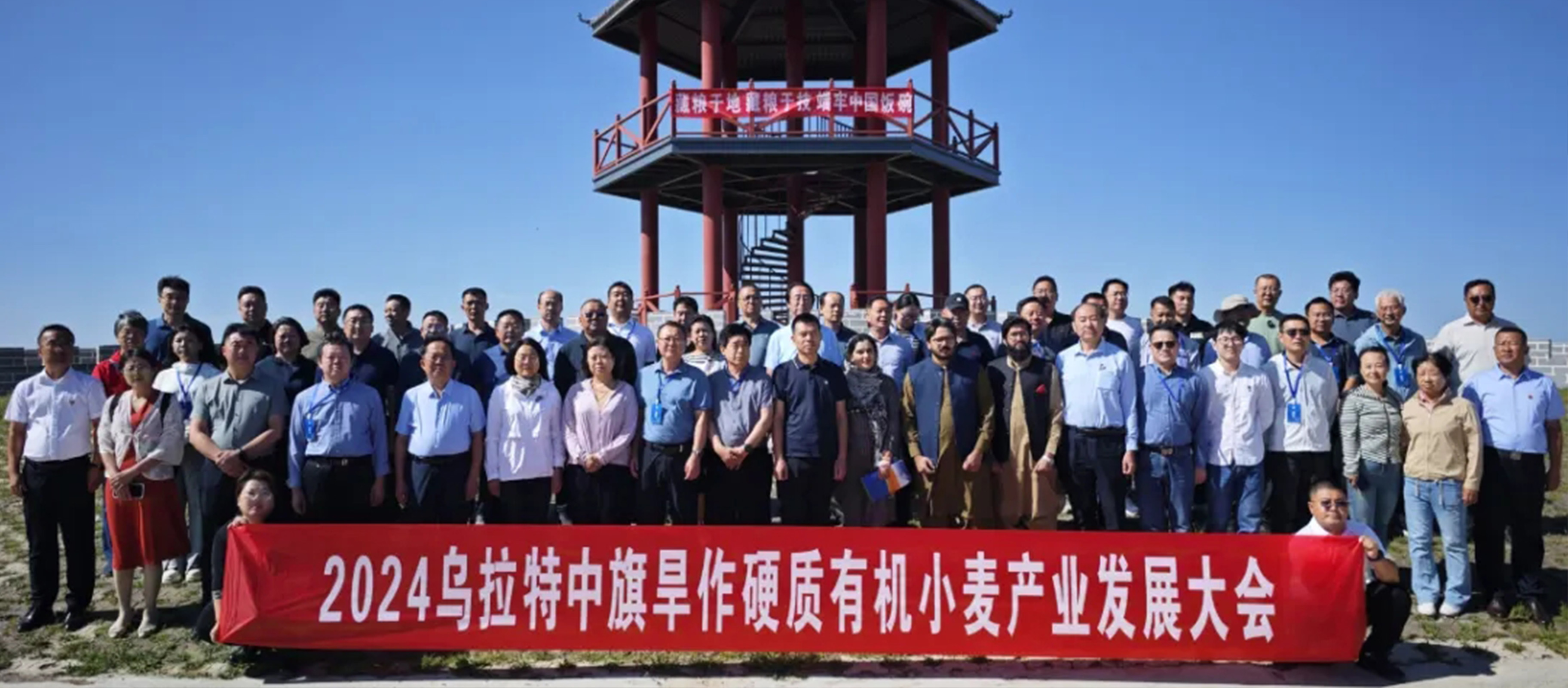 三松兄弟應邀參加烏拉特中旗旱作硬質有機小麥產業發展大會并為其獻策！